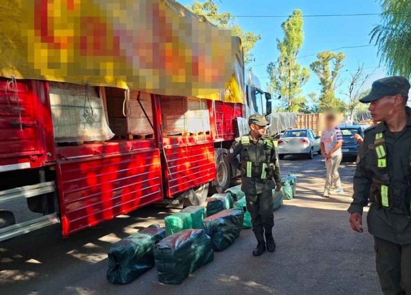 Gendarmería detectó un camión cargado con droga